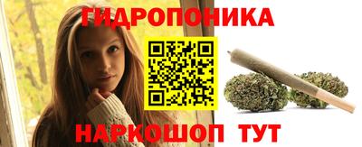 индика Бузулук