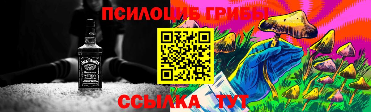 Галлюциногенные грибы Magic Shrooms  Вход с VPN  Морозовск  Галлюциногенные грибы ЛСД 